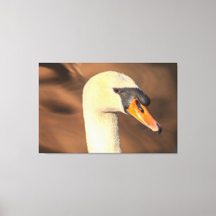Impressão Em Tela Retrato do Cisne Mudo Cabeça