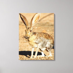 Impressão Em Tela Retrato do lebre-pronghorn, Arizona