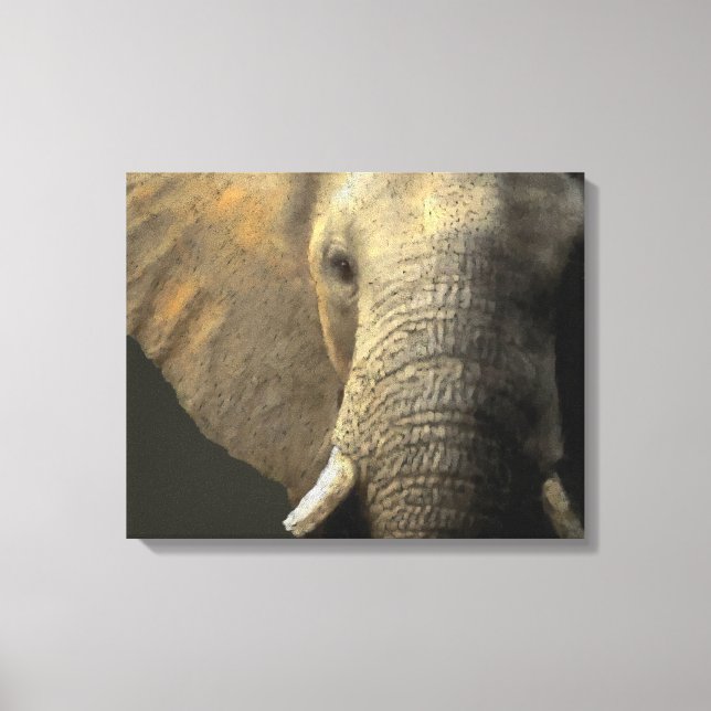 Impressão Em Tela Retrato Elefante (Frente)