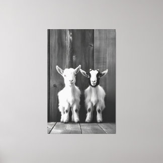 Impressão Em Tela Retrato Monocromático de Dois Caprinos Bebês