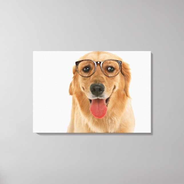 Impressão Em Tela Retriever de ouro 8 (Frente)