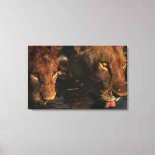 Impressão Em Tela Rio de Khwai, reserva dos animais selvagens de