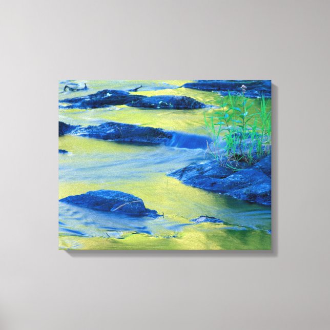 Impressão Em Tela Rio Lamprey | Nova Hampshire (Frente)