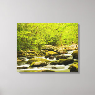 Impressão Em Tela Roaring Fork na Primavera