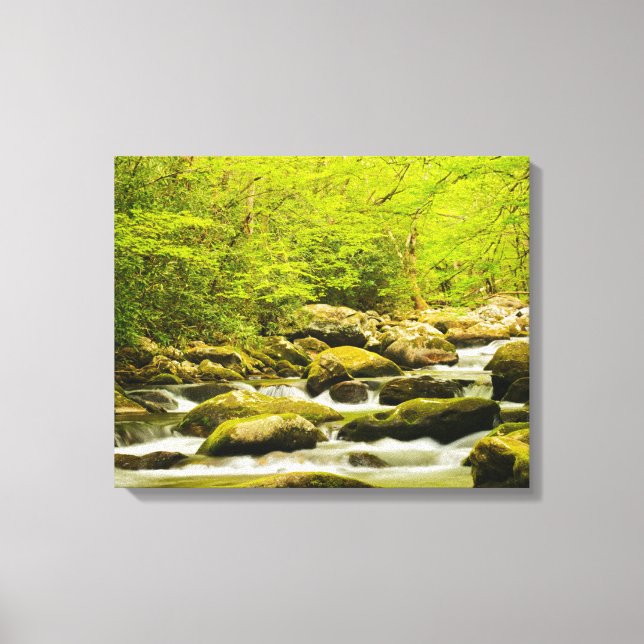Impressão Em Tela Roaring Fork na Primavera (Frente)