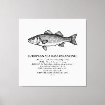 Robalo Branzino Vintage