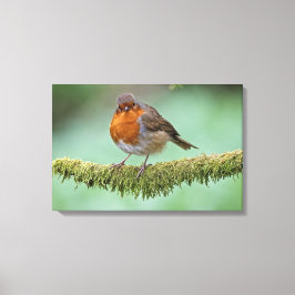 Impressão Em Tela Robin