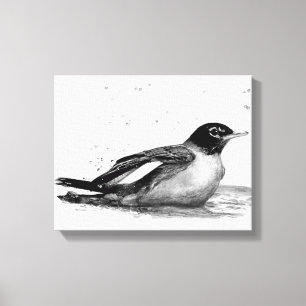 Impressão Em Tela Robin a tirar um banho