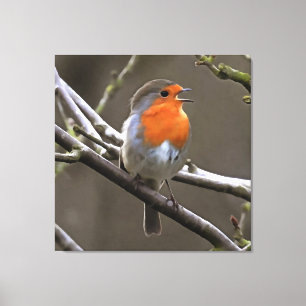 Impressão Em Tela Robin Vermelho Europeu e Pintura de Cinzas