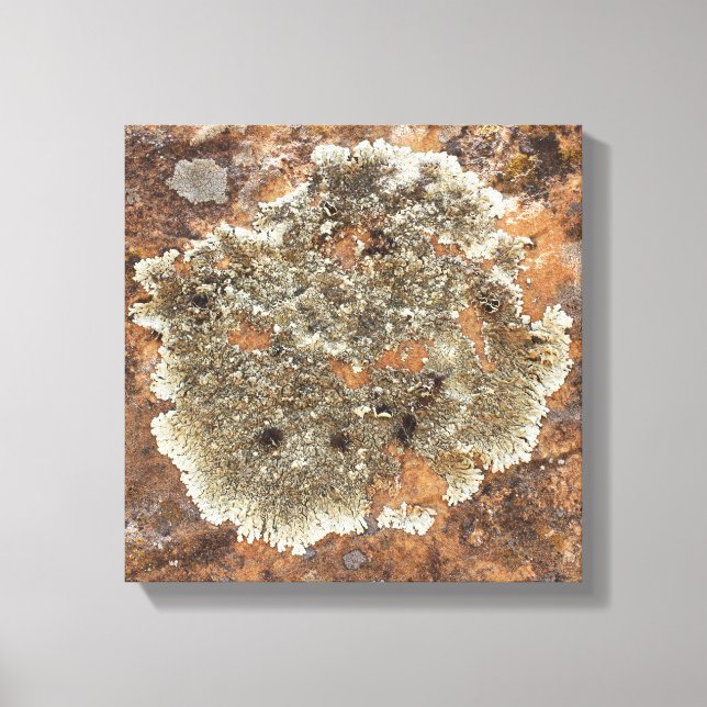 Impressão Em Tela Rock Art - A arte na natureza (Frente)