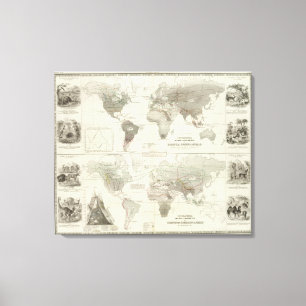 Impressão Em Tela Rodentia, Ruminantia