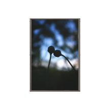 Romantic Flowers – Botanical Fantasy Boho