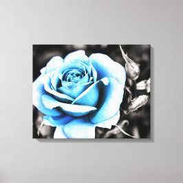 Impressão Em Tela rosa azul