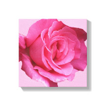 rosa bonito rosa moderna mimimista floral belo art