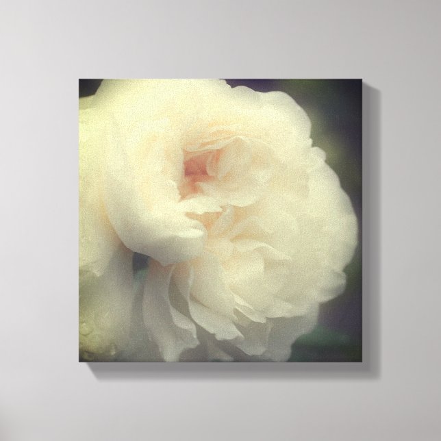 Impressão Em Tela Rosa Branca Flor Em Sangue (Frente)