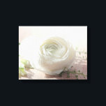 Impressão Em Tela Rosa Branca Romântica<br><div class="desc">Foto romântica de rosa branca.</div>