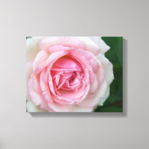 Impressão Em Tela Rosa cor-de-rosa e branco