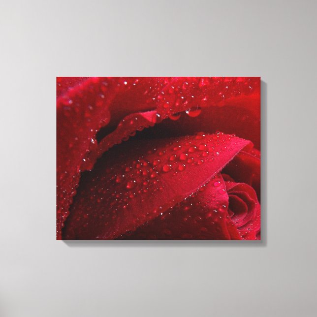 Impressão Em Tela Rosa de Macro Vermelho com Gotas de Água (Frente)