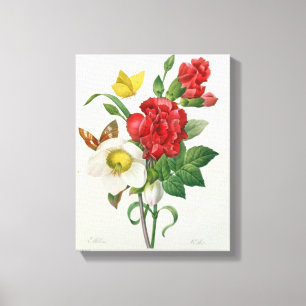 Impressão Em Tela Rosa de Natal, Helleborus niger