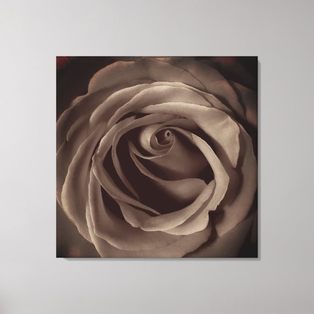 Impressão Em Tela Rosa de Vintage (Frente)