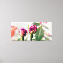 Impressão Em Tela Rosa do botão rosa no close-up