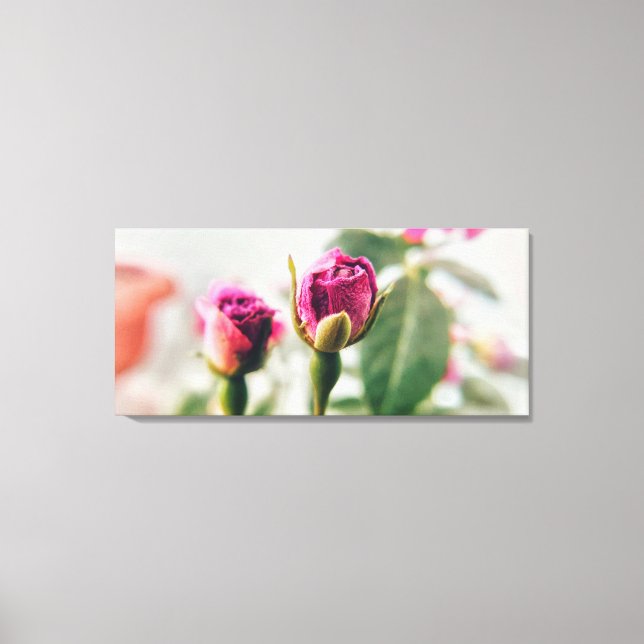 Impressão Em Tela Rosa do botão rosa no close-up (Frente)