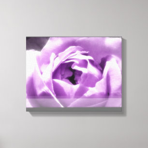 Impressão Em Tela Rosa do roxo