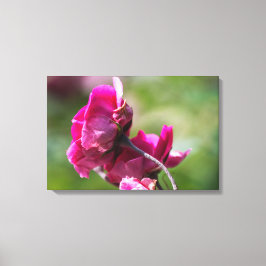 Impressão em Tela Rosa - Graça Magenta