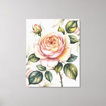 Rosa inglesa em aquarela