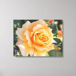 Impressão Em Tela Rosa‘Manyo’（万葉）