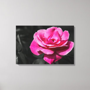 Impressão em Tela Rosa Pink Elegância