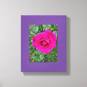 Impressão Em Tela Rosa Rosa #3