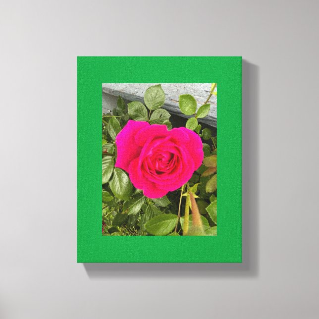 Impressão Em Tela Rosa Rosa #4 (Frente)