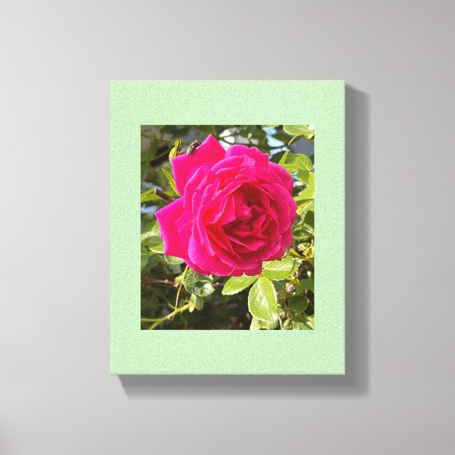 Impressão Em Tela Rosa Rosa e uma Mosca (Frente)