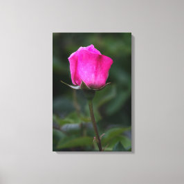 Impressão em tela Rosa Rosa Elegante