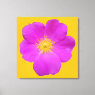Impressão Em Tela Rosa selvagem 2