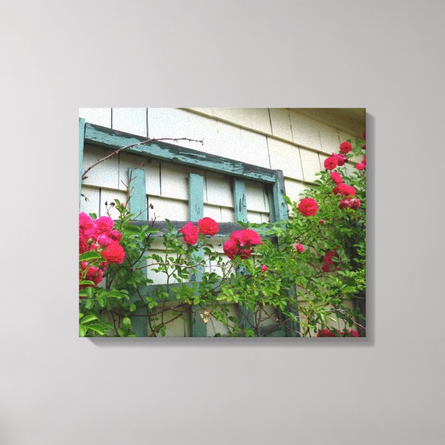 Impressão Em Tela Rosa Trellis - Vineyard de Martha (Frente)