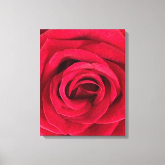 Impressão Em Tela Rosa vermelha (Frente)