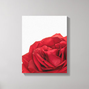 Impressão Em Tela rosa vermelha 1824