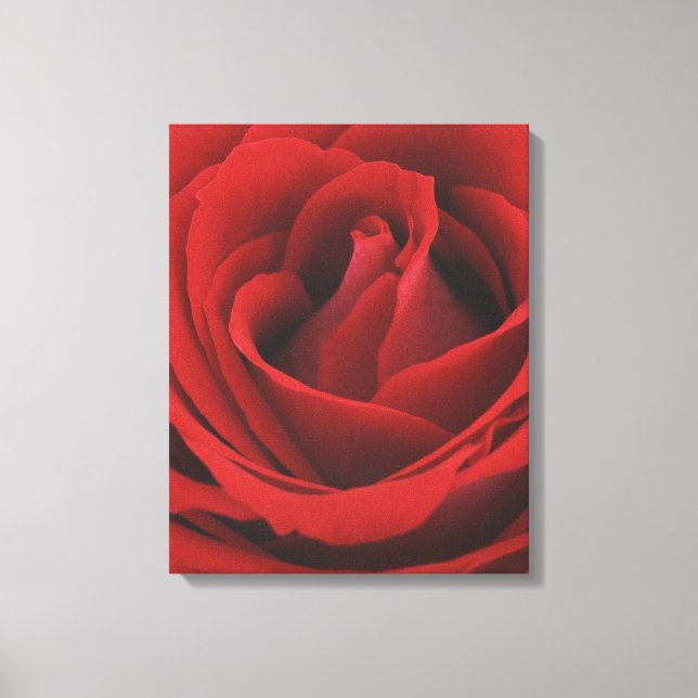 Impressão Em Tela Rosa vermelha Blooming (Frente)