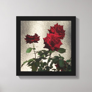 Impressão Em Tela rosa vermelha de 12" x 12" em White Stucco Foto