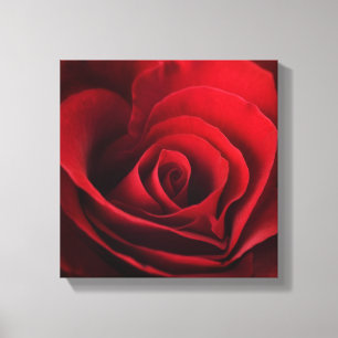 Impressão Em Tela Rosa vermelha dos namorados