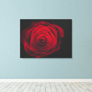 Impressão Em Tela Rosa vermelha em fundo preto efeito vintage