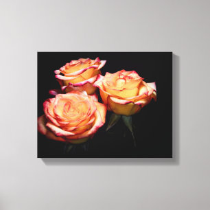 Impressão Em Tela Rosas amarelas e rosa 1998