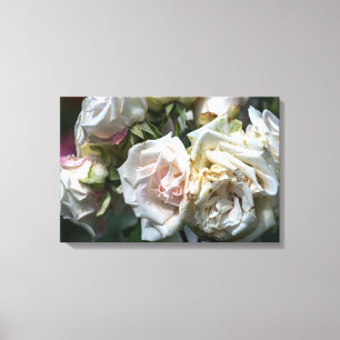 Impressão em Tela Rosas Brancas em Flor Fotografia