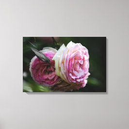 Impressão em Tela Rosas Cor-de-Rosa - Dueto Enrube