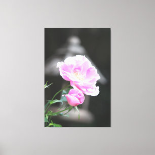 Impressão Em Tela Rosas de Flor Rosa