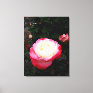 Impressão Em Tela Rosas Flores, Rosas brancas rosa