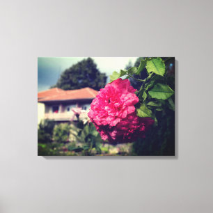 Impressão Em Tela Rosas, Foto Rústica, Impressão de Tela Esticada de