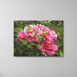 Impressão Em Tela Rosas Rosa